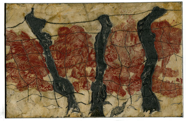 The collagraph plate