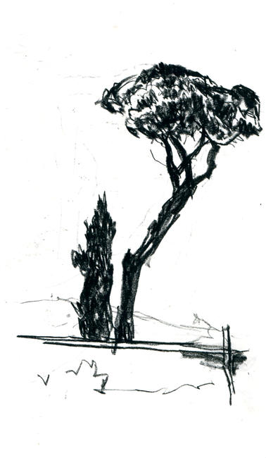 Waiting for the bus, Segesta