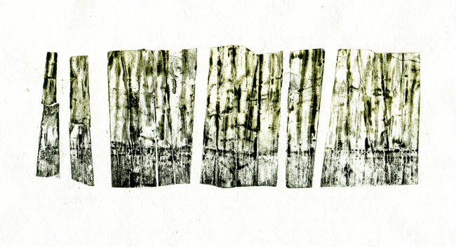 Packaging drypoint - woods