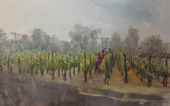 Checking the vines