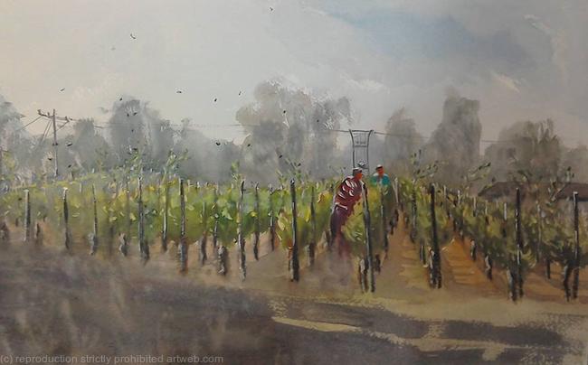 Checking the Vines Limited Edition of 50