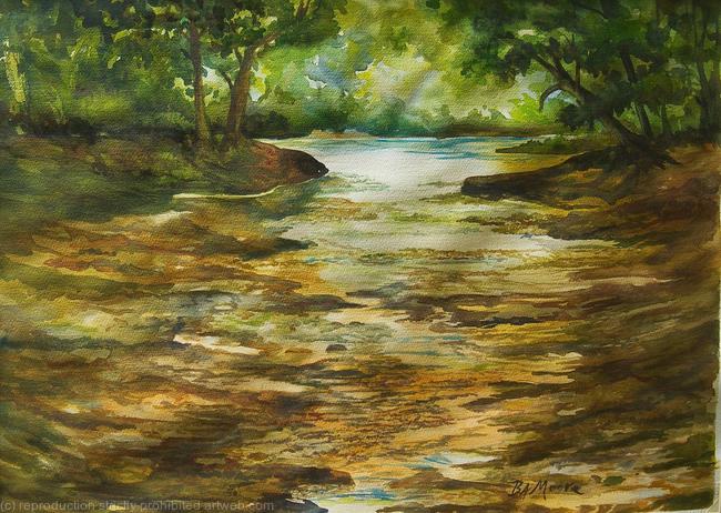 Soggy Bottom Creek