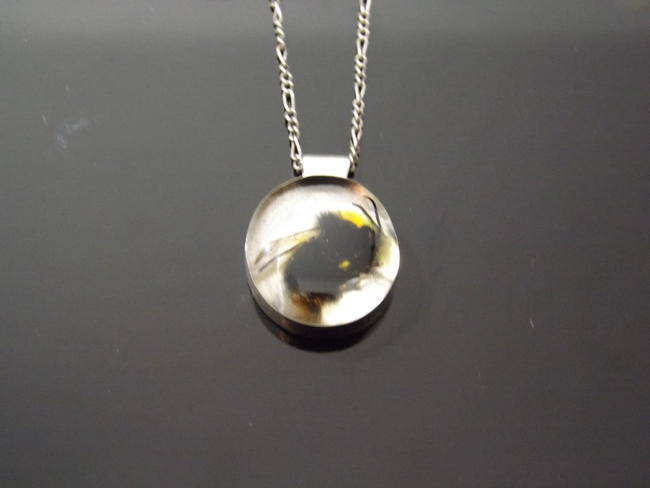 Bee in resin
