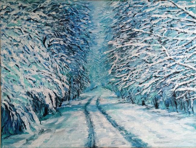 Winter pathway