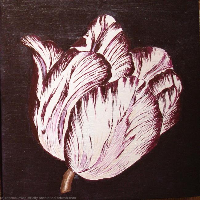 Aubergine Tulip 2 - SOLD
