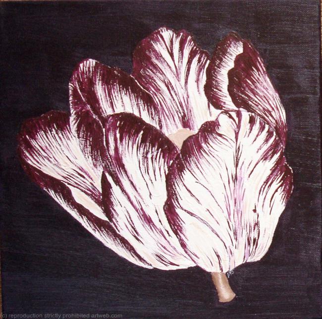Aubergine Tulip 1 - SOLD