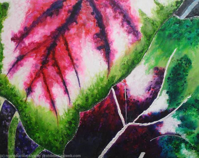 Coleus Plant 5