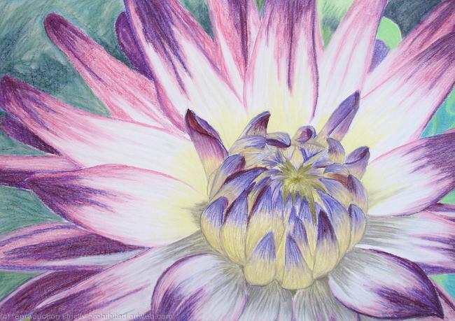 Dahlia - Pastels - SOLD