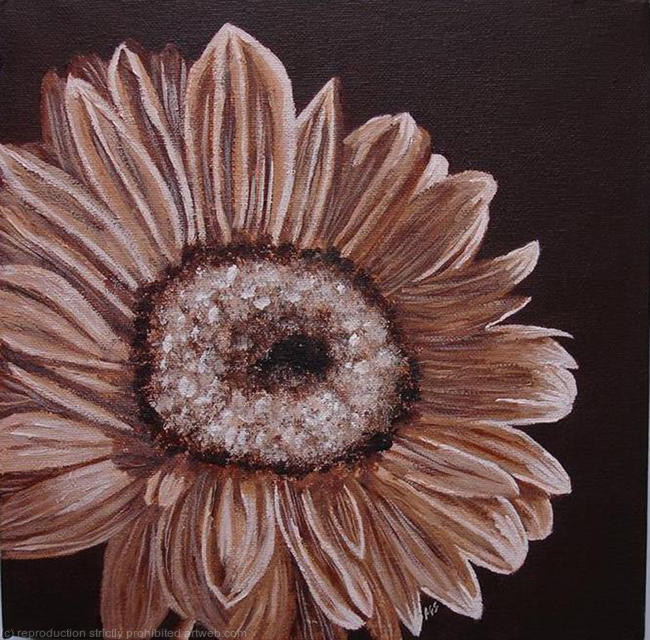 Chocolate Gerbra - SOLD