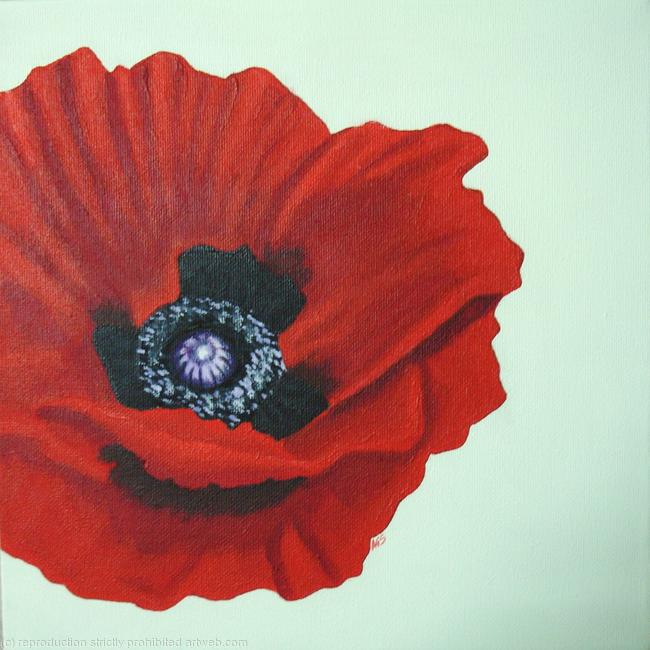 Red Poppy Light Background - SOLD