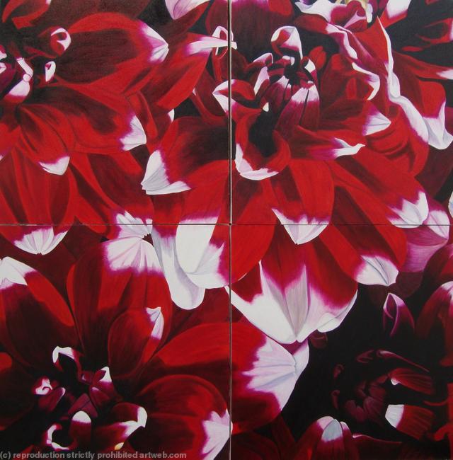 Red Dahlia