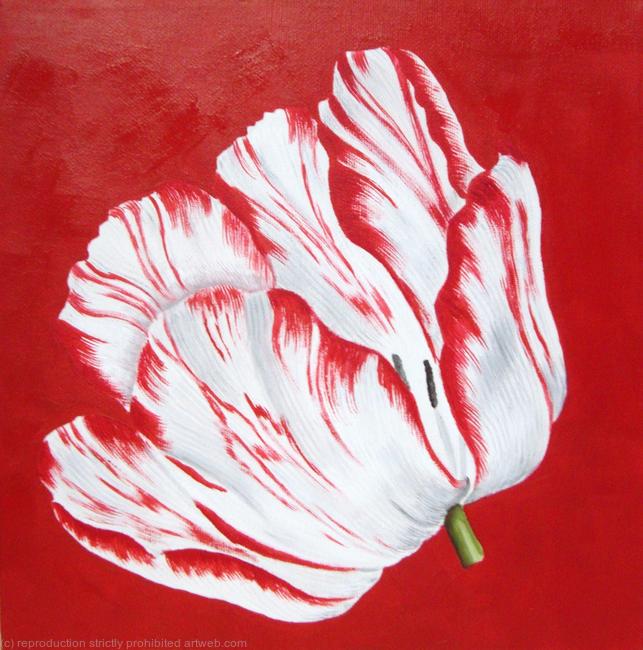 Sm Red Tulip 1