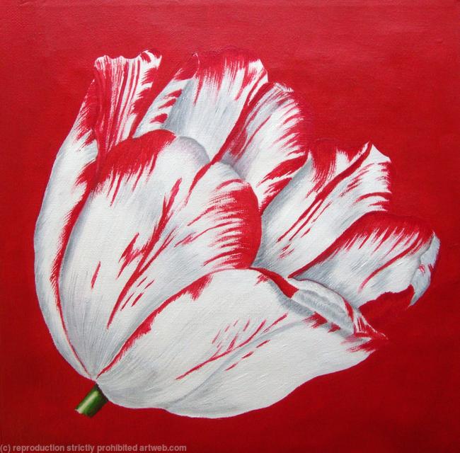 Sm Red Tulip 2 - SOLD