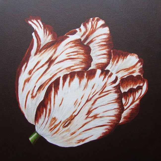 Sm Brown Tulip 1