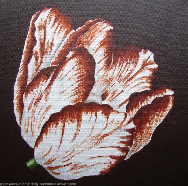 Sm Brown Tulip 2