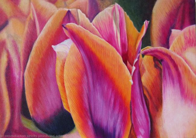 Atlantis Tulips