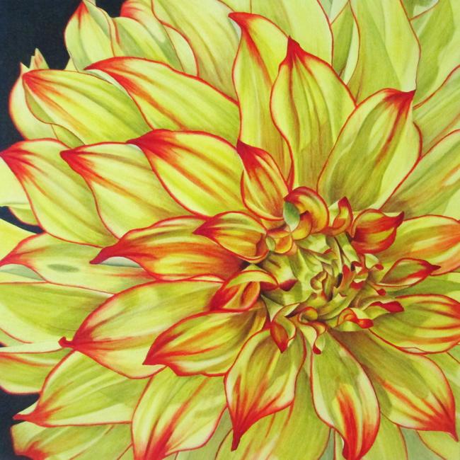 Dahlia Lady Darlene - Square Greetings Card