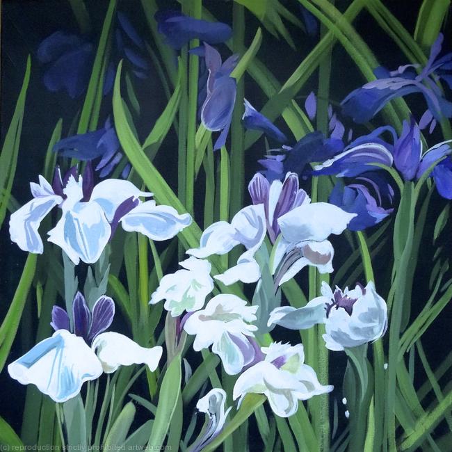 Iris 2015 £150