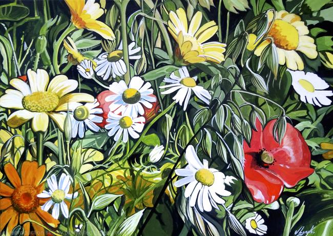 Wildflower Safari