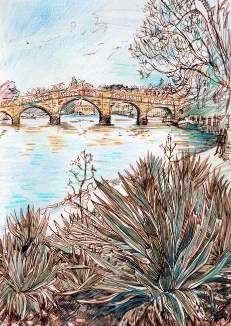 Richmond Bridge from up-river