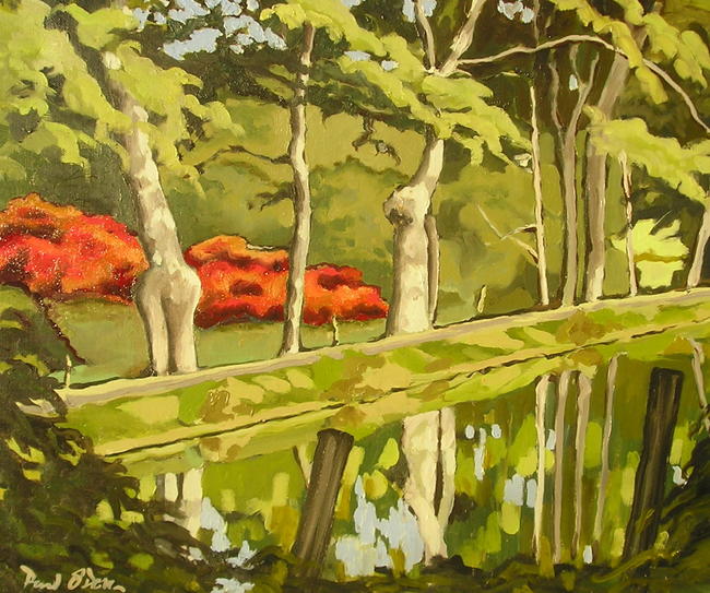 Red Bushes