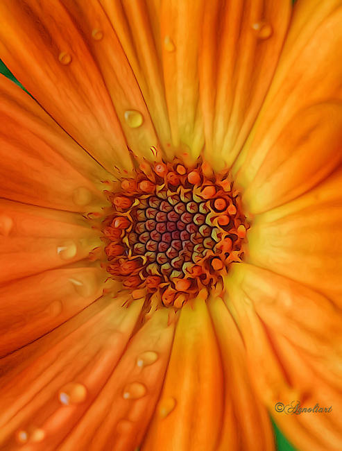 SUNBURST