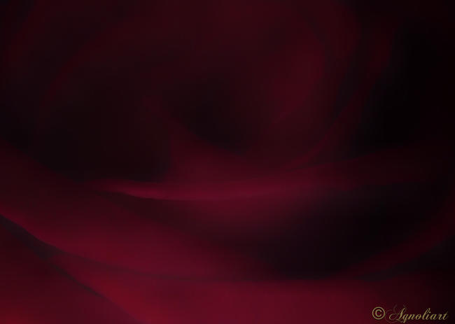 RED ROSE