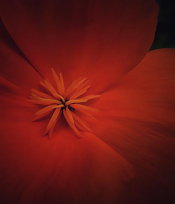 Red Burst