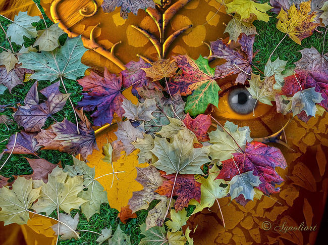 Face of autum