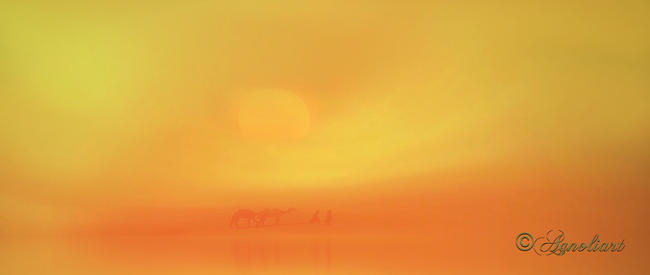 Across the desert