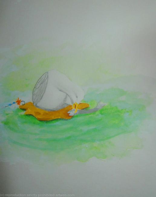 Seagull fishing