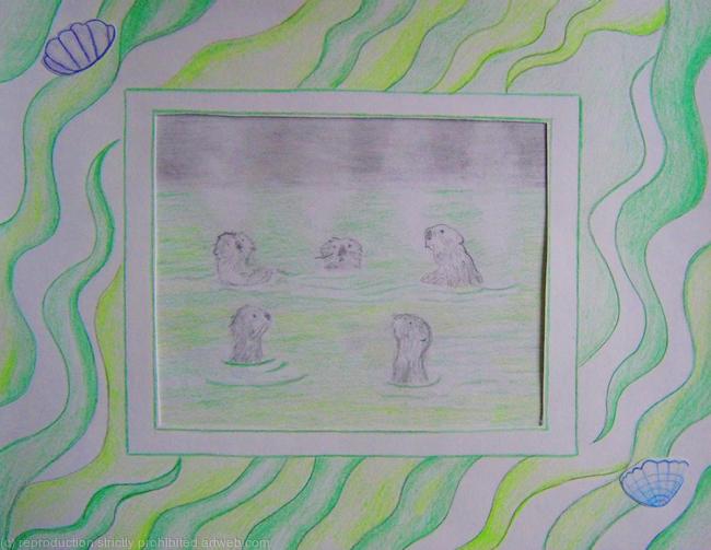more otter 1