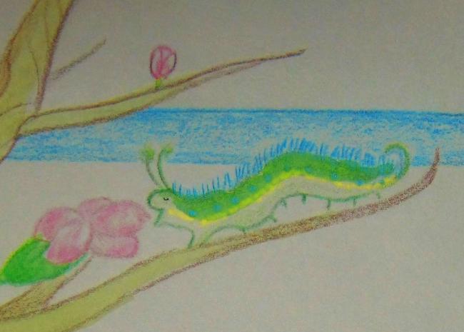 caterpillar