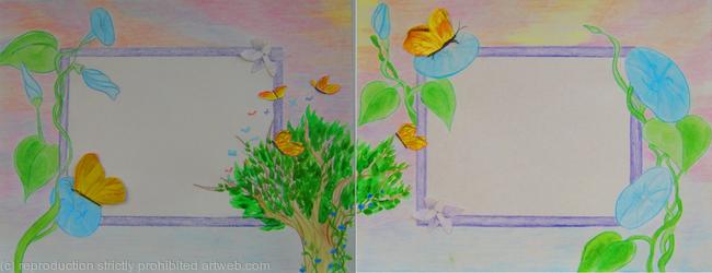 butterfly 3 4