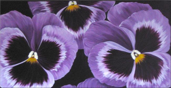 Pansy Paradise