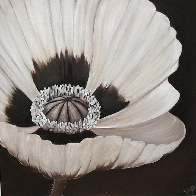 Chocolate Poppy