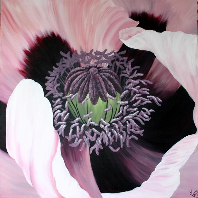 Oriental Poppy
