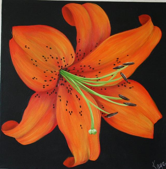 Debbys Tiger Lily