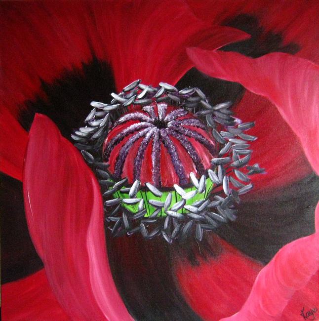 Oriental Poppy