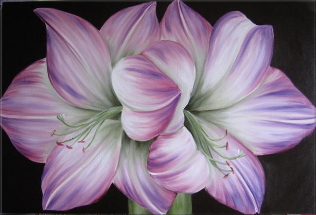 Amaryllis Amour