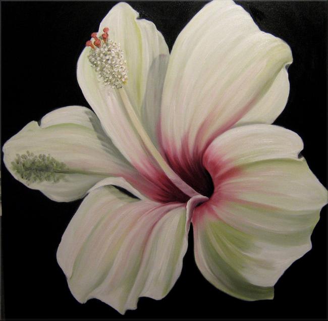 Spanish Hibiscus II