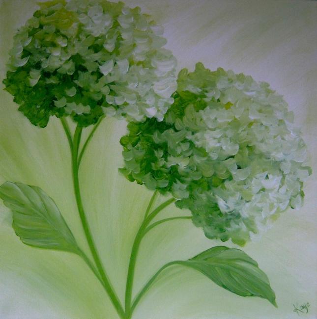 Hydrangea