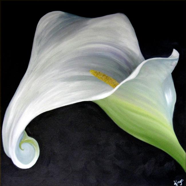 Calla Lily
