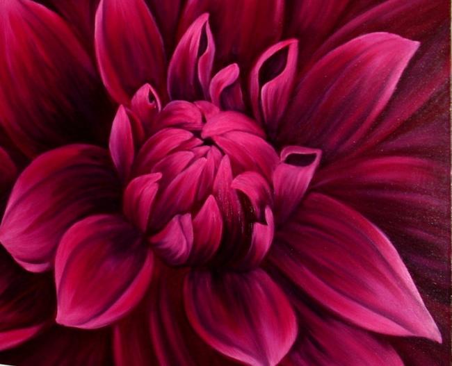 Dahlia Desire