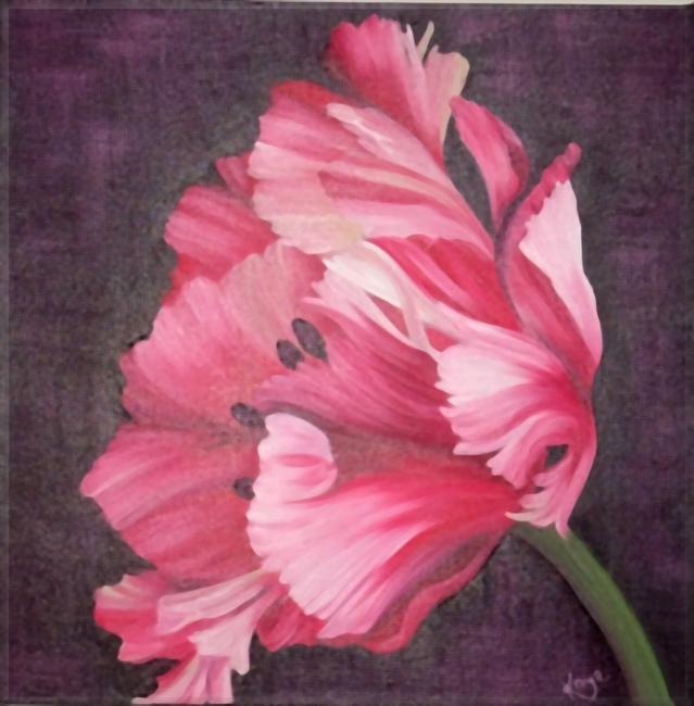 Vintage Tulip