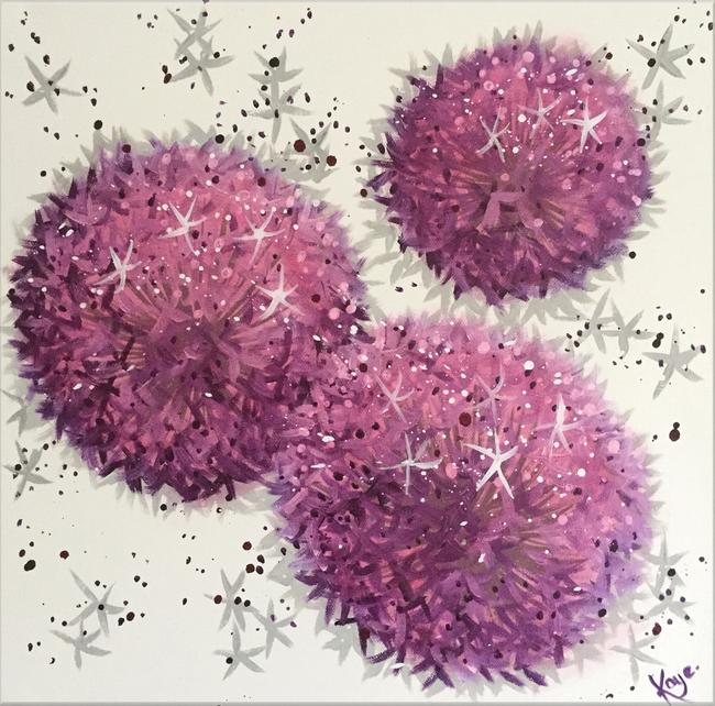 Allium Cluster 1
