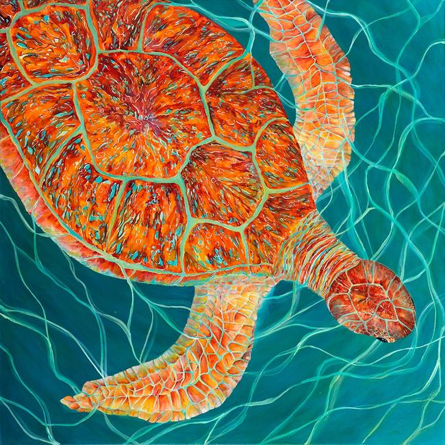 Seagrass Turtle