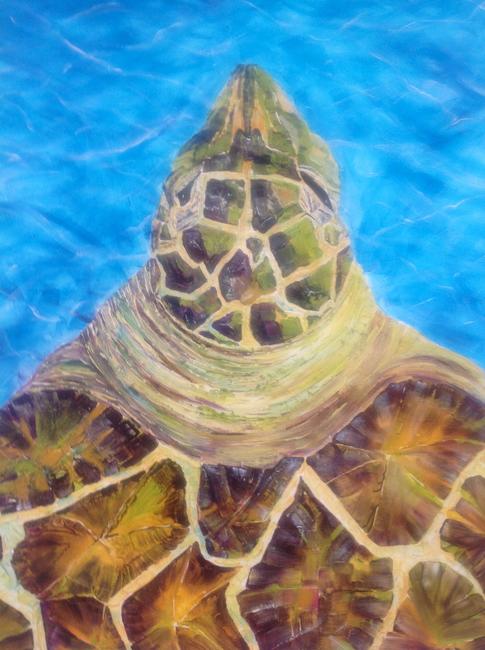Green Turtle