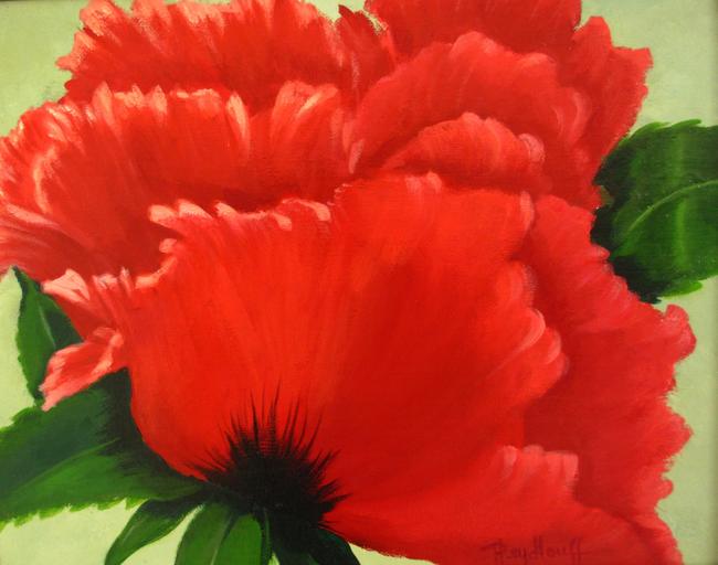 Ruffled Poppy - The poppy is a perennial favorite at the Bontanica Wichita Gardens in Kansas. The ruffled poppy is a special treat and a delicacy to behold.
