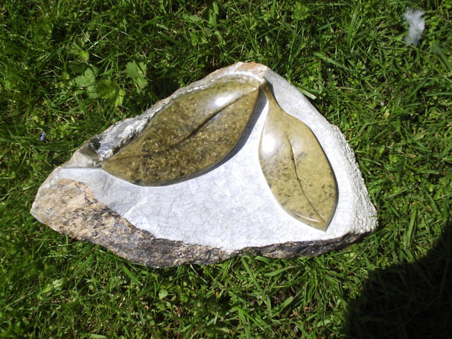 Leaves